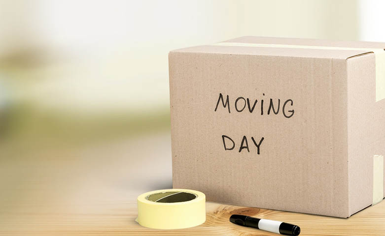 Moving Day Box